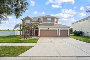 11346 CALLAWAY POND DRIVE, RIVERVIEW, FL 33579 - MLS#MFRTB8433178