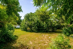 6410 PENSIVE DRIVE, PORT RICHEY, FL 34668 - MLS#MFRTB8433182