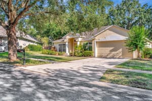 803 WOODCARVER LANE, BRANDON, FL 33510 - MLS#MFRTB8433200