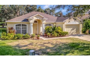 803 WOODCARVER LANE, BRANDON, FL 33510 - MLS#MFRTB8433200