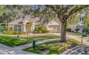 803 WOODCARVER LANE, BRANDON, FL 33510 - MLS#MFRTB8433200