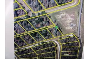 SHELDRAKE LOOP, BROOKSVILLE, FL 34614 Sold 03/03/26