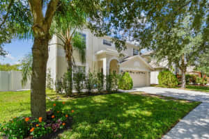 10621 LUCAYA DRIVE, TAMPA, FL 33647 - MLS#MFRTB8433218