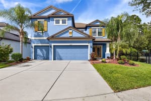 11303 LAZY HICKORY LANE, TAMPA, FL 33635 - MLS#MFRTB8433242