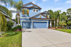 11303 LAZY HICKORY LANE, TAMPA, FL 33635 - MLS#MFRTB8433242