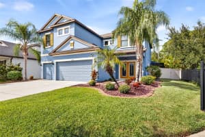 11303 LAZY HICKORY LANE, TAMPA, FL 33635 - MLS#MFRTB8433242