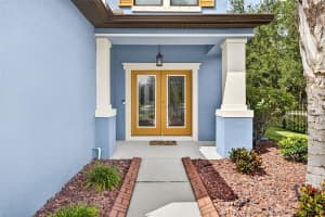 11303 LAZY HICKORY LANE, TAMPA, FL 33635 - MLS#MFRTB8433242