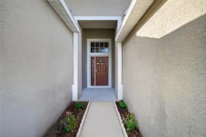 8630 SANDY PLAINS DRIVE, RIVERVIEW, FL 33578 - MLS#MFRTB8433271