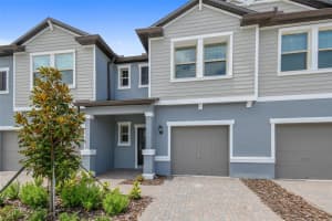 9653 ASHWORTH PLACE, LAND O LAKES, FL 34637 - MLS#MFRTB8433273