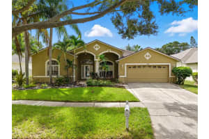 9215 Estate Cove Cir, RIVERVIEW 9215 Estate Cove Cir, RIVERVIEW