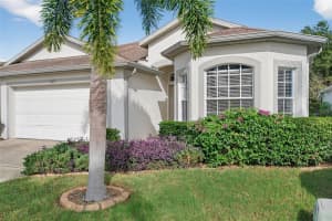10123 MOWRY LANE, TAMPA, FL 33625 - MLS#MFRTB8433288