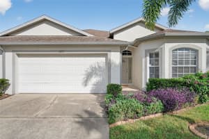 10123 MOWRY LANE, TAMPA, FL 33625 - MLS#MFRTB8433288