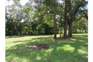 1167 MISSION CIRCLE, CLEARWATER, FL 33759 - MLS#MFRTB8433295