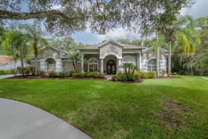 15801 Dawson Ridge Dr, TAMPA