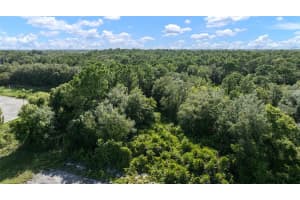 232 FOXHALL CIRCLE, SEBRING, FL 33876 - MLS#MFRTB8433314