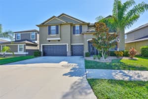 11612 SHELBY JAY DRIVE, RIVERVIEW, FL 33579 - MLS#MFRTB8433337