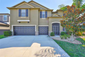 11612 SHELBY JAY DRIVE, RIVERVIEW, FL 33579 - MLS#MFRTB8433337