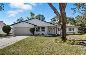 577 Waterfall Dr, SPRING HILL