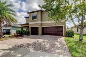 10224 CELTIC ASH DRIVE, RUSKIN, FL 33573 - MLS#MFRTB8433352