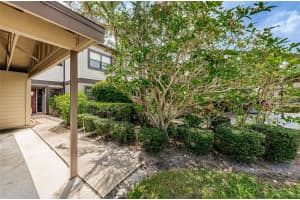 315 WOODS LANDING TRAIL, OLDSMAR, FL 34677 - MLS#MFRTB8433357
