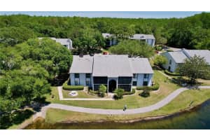1337 PINE RIDGE CIRCLE, TARPON SPRINGS, FL 34688 - MLS#MFRTB8433369