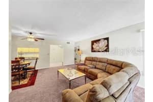 1337 PINE RIDGE CIRCLE, TARPON SPRINGS, FL 34688 - MLS#MFRTB8433369