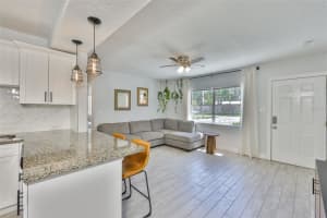 3027 NAPOLEON AVENUE, TAMPA, FL 33611 - MLS#MFRTB8433372