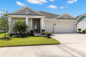31496 WESTBURY ESTATES AVENUE, WESLEY CHAPEL, FL 33545 - MLS#MFRTB8433382