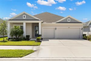 31496 WESTBURY ESTATES AVENUE, WESLEY CHAPEL, FL 33545 - MLS#MFRTB8433382