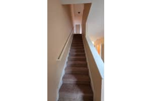 12762 COUNTRY BROOK LANE, TAMPA, FL 33625 - MLS#MFRTB8433386