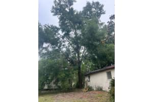 37247 NORTHSIDE DRIVE, ZEPHYRHILLS, FL 33541 - MLS#MFRTB8433441