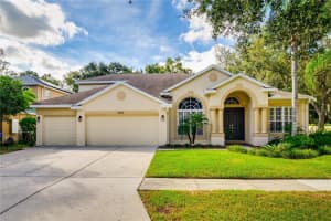 5803 BROWDER ROAD, TAMPA, FL 33625 - MLS#MFRTB8433456