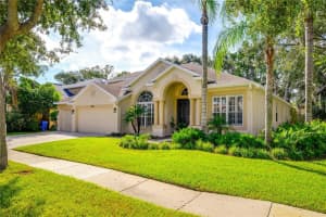 5803 BROWDER ROAD, TAMPA, FL 33625 - MLS#MFRTB8433456