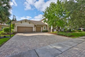 15511 AVOCETVIEW COURT, LITHIA, FL 33547 - MLS#MFRTB8433470