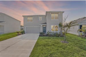 8379 ENDER HILLS DRIVE, WESLEY CHAPEL, FL 33545 - MLS#MFRTB8433474