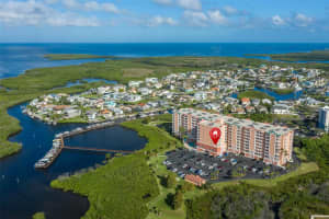 4516 SEAGULL DRIVE, NEW PORT RICHEY, FL 34652 - MLS#MFRTB8433475
