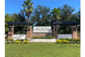 32652 COLDWATER CREEK LOOP, WESLEY CHAPEL, FL 33545 - MLS#MFRTB8433477