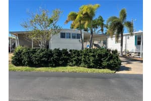 7250 MOUNT ARLINGTON DRIVE, ST PETERSBURG, FL 33702 - MLS#MFRTB8433501