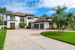 22255 OAKVILLE DRIVE, LAND O LAKES, FL 34639 - MLS#MFRTB8433508