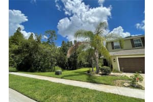 20233 INDIAN ROSEWOOD DRIVE, TAMPA, FL 33647 - MLS#MFRTB8433529