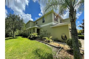 20233 INDIAN ROSEWOOD DRIVE, TAMPA, FL 33647 - MLS#MFRTB8433529