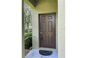 20233 INDIAN ROSEWOOD DRIVE, TAMPA, FL 33647 - MLS#MFRTB8433529