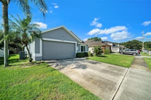 28438 TALL GRASS DRIVE, WESLEY CHAPEL, FL 33543 - MLS#MFRTB8433550