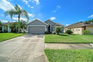 28438 TALL GRASS DRIVE, WESLEY CHAPEL, FL 33543 - MLS#MFRTB8433550