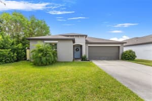 3802 Daisy Bloom Pl, TAMPA