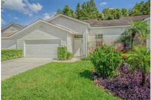 21418 Keating Way, LUTZ