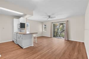 245 MCMULLEN BOOTH ROAD, CLEARWATER, FL 33759 - MLS#MFRTB8433600