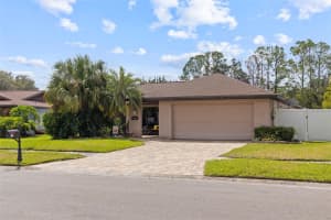 14008 ELLESMERE DRIVE, TAMPA, FL 33624 - MLS#MFRTB8433622