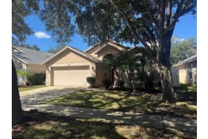7021 Colony Pointe Dr, RIVERVIEW