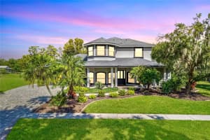 1523 FISHING LAKE DRIVE, ODESSA, FL 33556 - MLS#MFRTB8433629